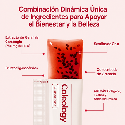 Semillas de Chía y Colágeno, Barras de Gelatina