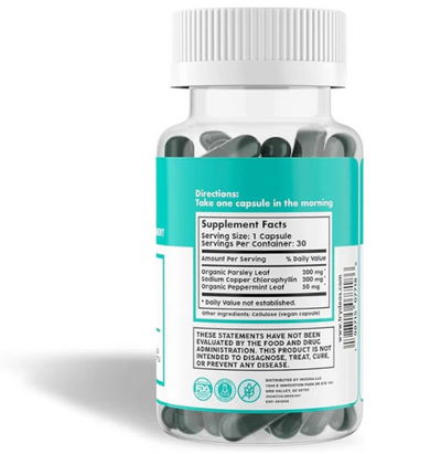 DEOS® - DIGESTION SALUDABLE Y EFICIENTE